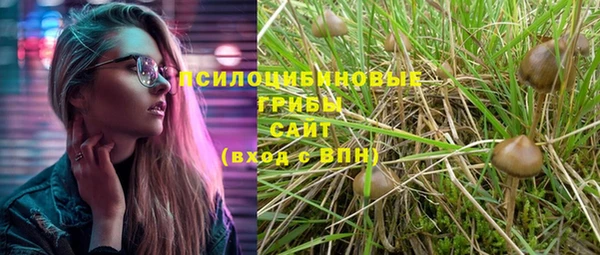 гашик Лабытнанги