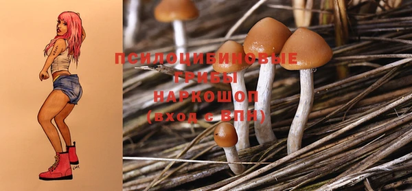 амфетамин Ладушкин