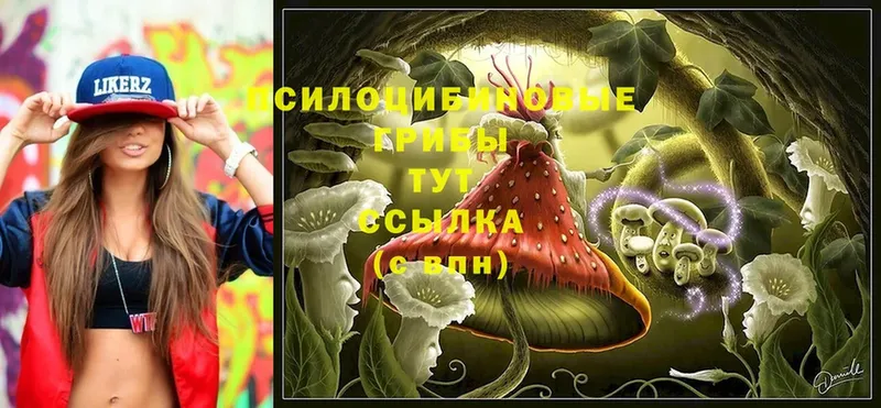 Галлюциногенные грибы Cubensis  Миньяр 