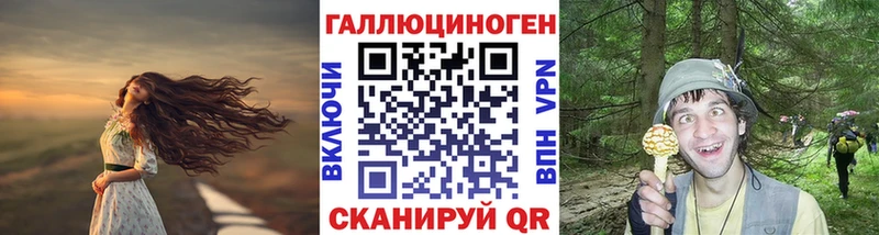 цена Миньяр Псилоцибиновые грибы GOLDEN TEACHER